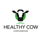 Healthy Cow