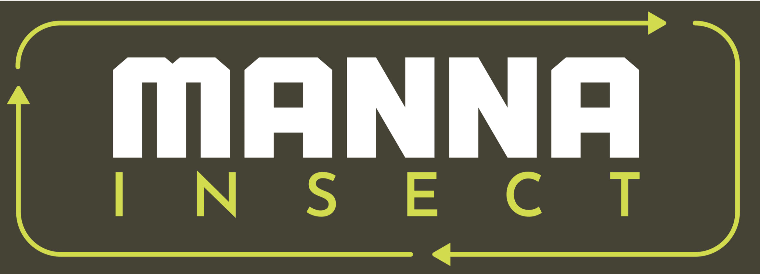 Manna Insect