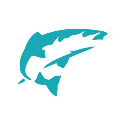 Salmon Software Ltd.
