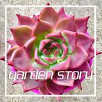 Garden Story