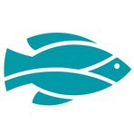 Rainforest Fish