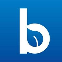Blueleaf