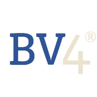 BV4 - Venture Intelligence Boutique