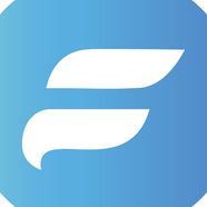 FlyCoin