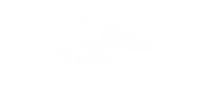 Branded Realities