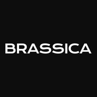 Brassica Finance