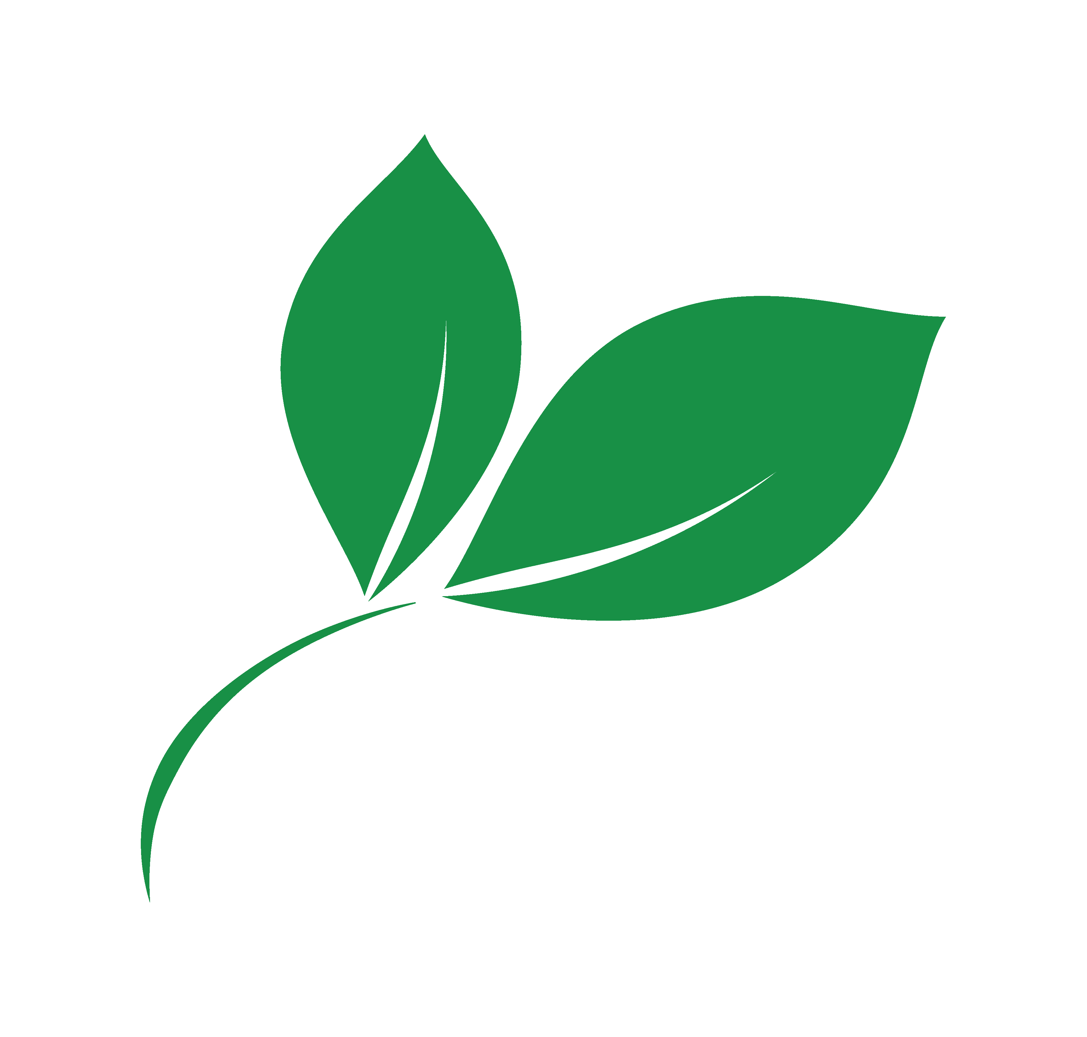 Tree Care Partners