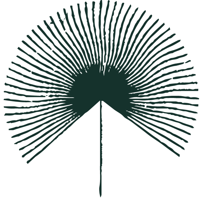 Talipot Investment Group