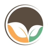 Conscious Collective