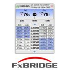 FX Bridge