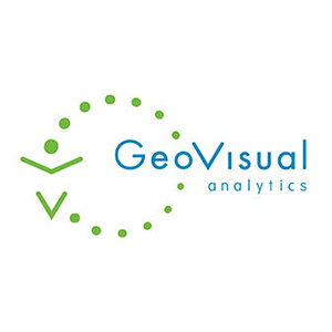 GeoVisual Analytics