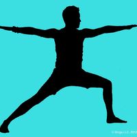 Broga
