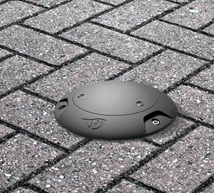 Parkeagle
