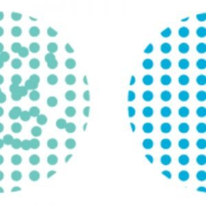 Molecular Glasses