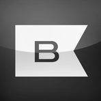 Blink Inc