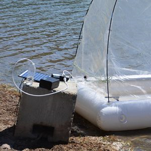 Sunny Clean Water
