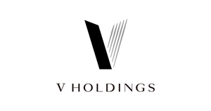 V Holdings