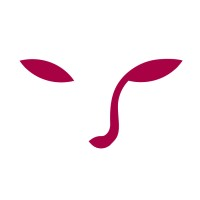 Morphace