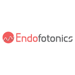 Endofotonics