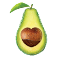 D'AVOCADO