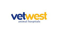 <title>Vetwest Veterinary Clinics