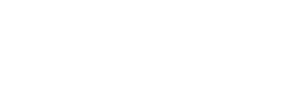 Verse Inc.