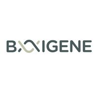 BAIGENE