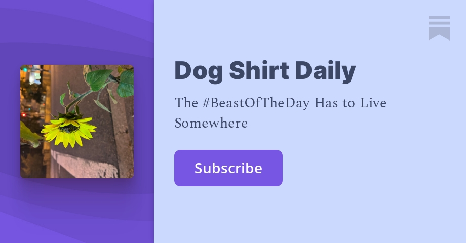 Dog Shirt Daily