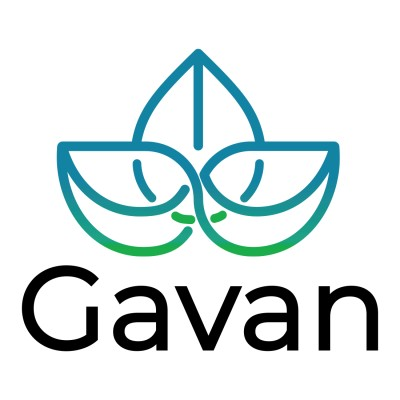 Gavan