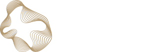 Future Now Capital