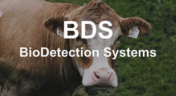 Bio Detection Systems