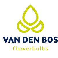 Van den Bos Flowerbulbs B.V.