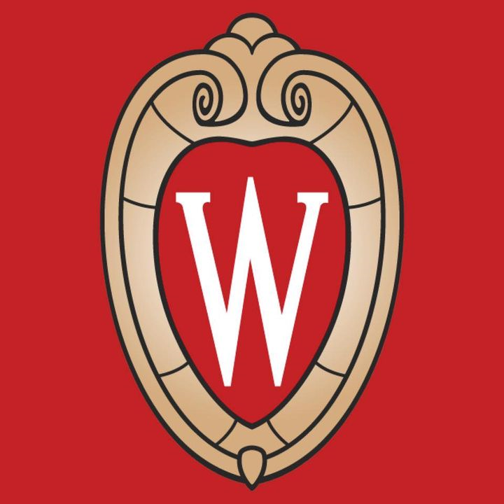 Wisconsin Alzheimer's Institute