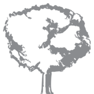 Post Oak Energy Capital LP