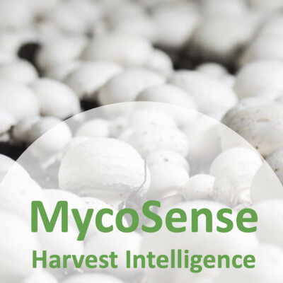 MycoSense AI