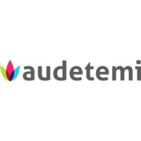 AUDETEMI