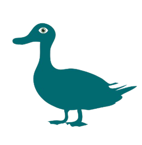 Campus Duck