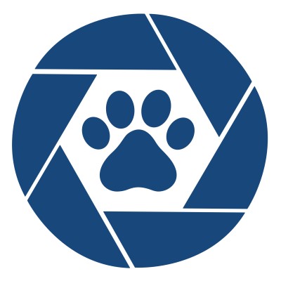 T-Vet