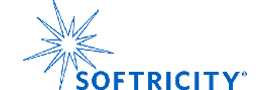 Softricity Inc.