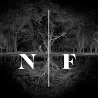 New Forest Film Co