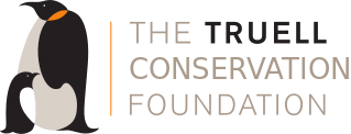 Positive Impact Investing