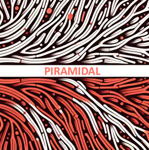 Piramidal Inc.