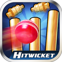 Hitwicket