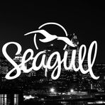 Seagull Guitars