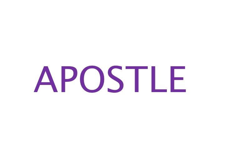 Apostle Inc