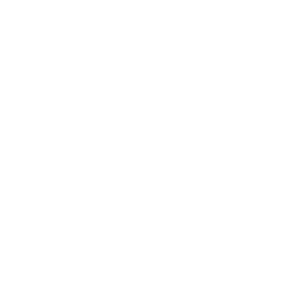HOLO-LIGHT