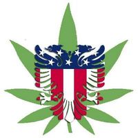 American-Alb Hemp Company