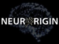 Neurorigin