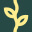 Climate Vine