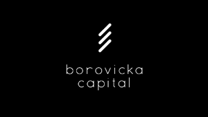 Borovicka Capital